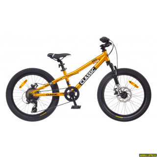 Classic PRO 20 DISC ALU Gold vaikiškas dviratis (20")