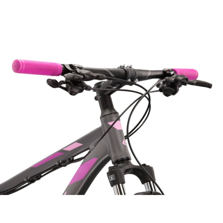 Kross Lea 5.0 kalnų dviratis moteriškas